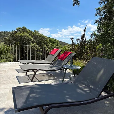 Giulia Porto-Vecchio